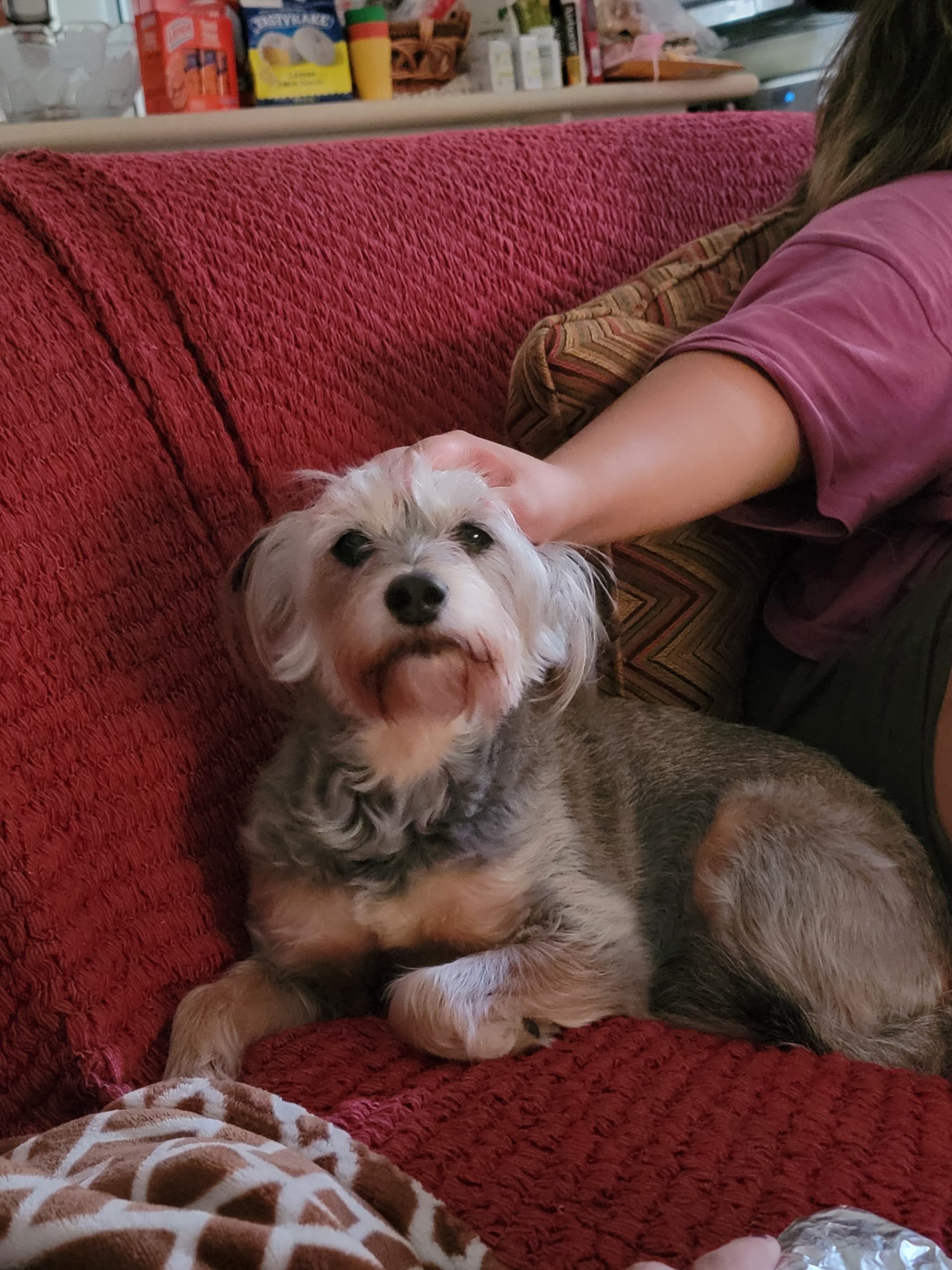 Photo of Luna