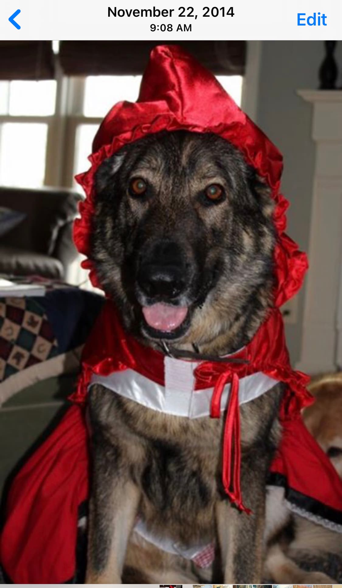 Photo of Ruby