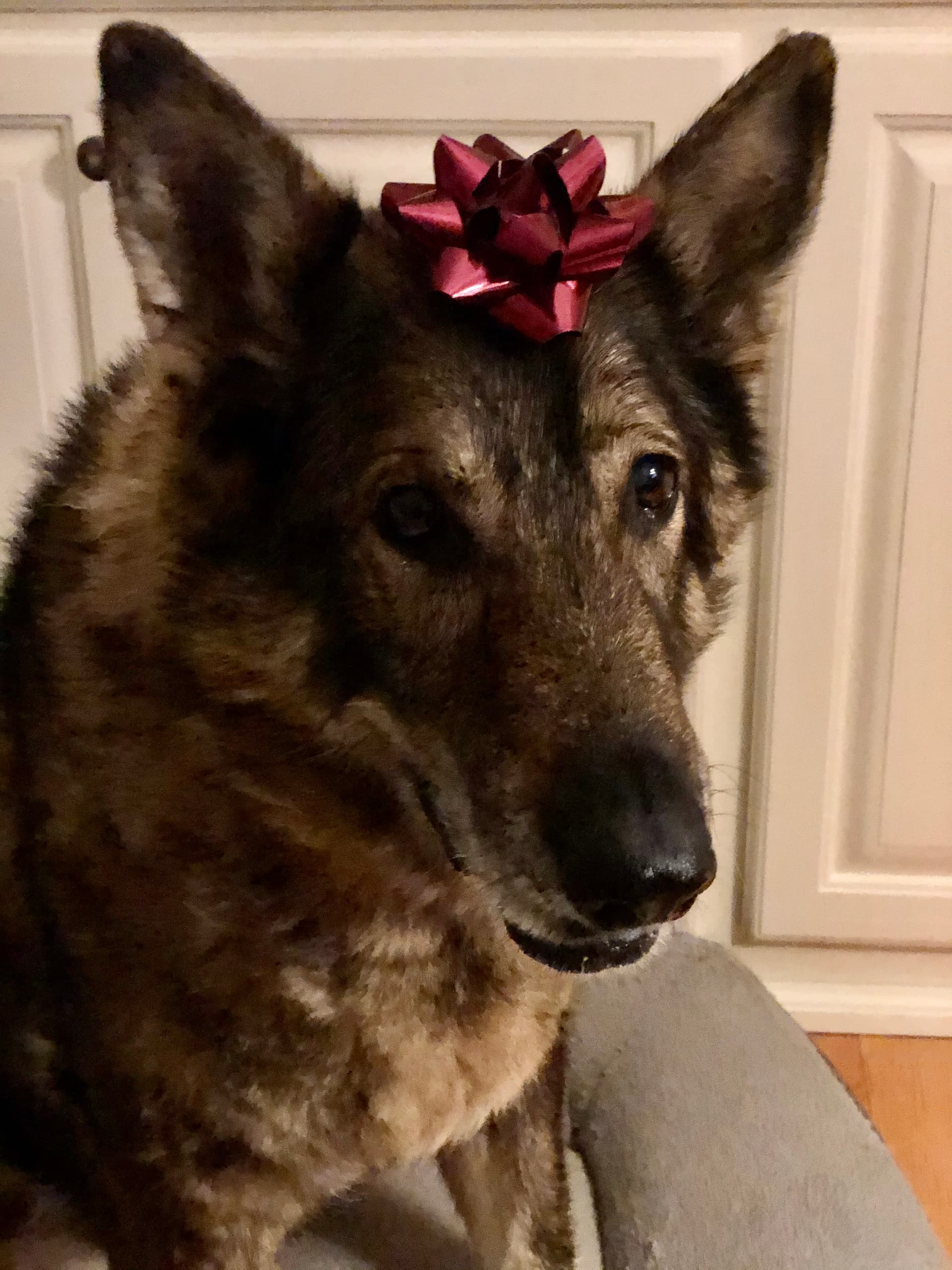 Photo of Ruby