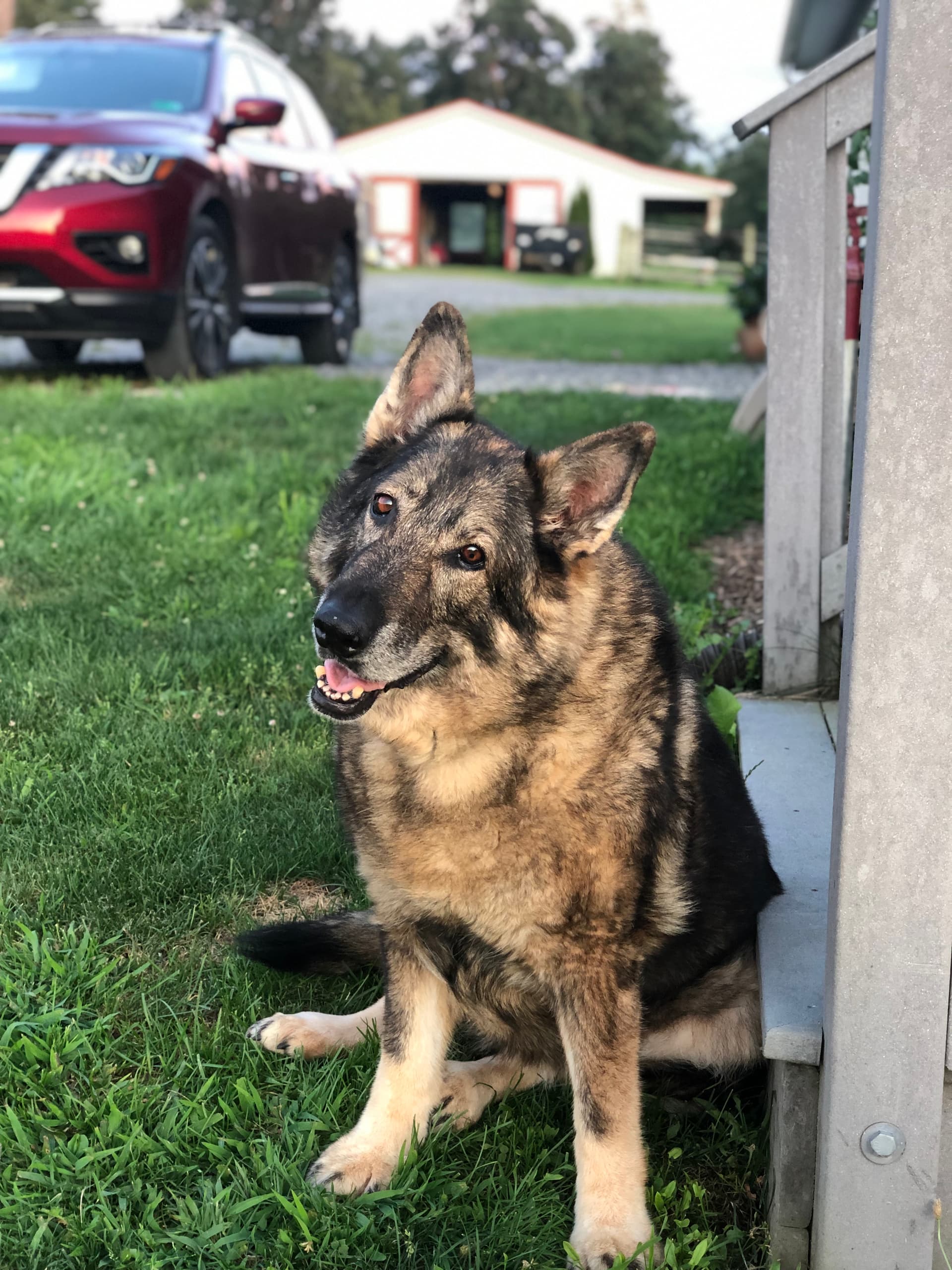 Photo of Ruby
