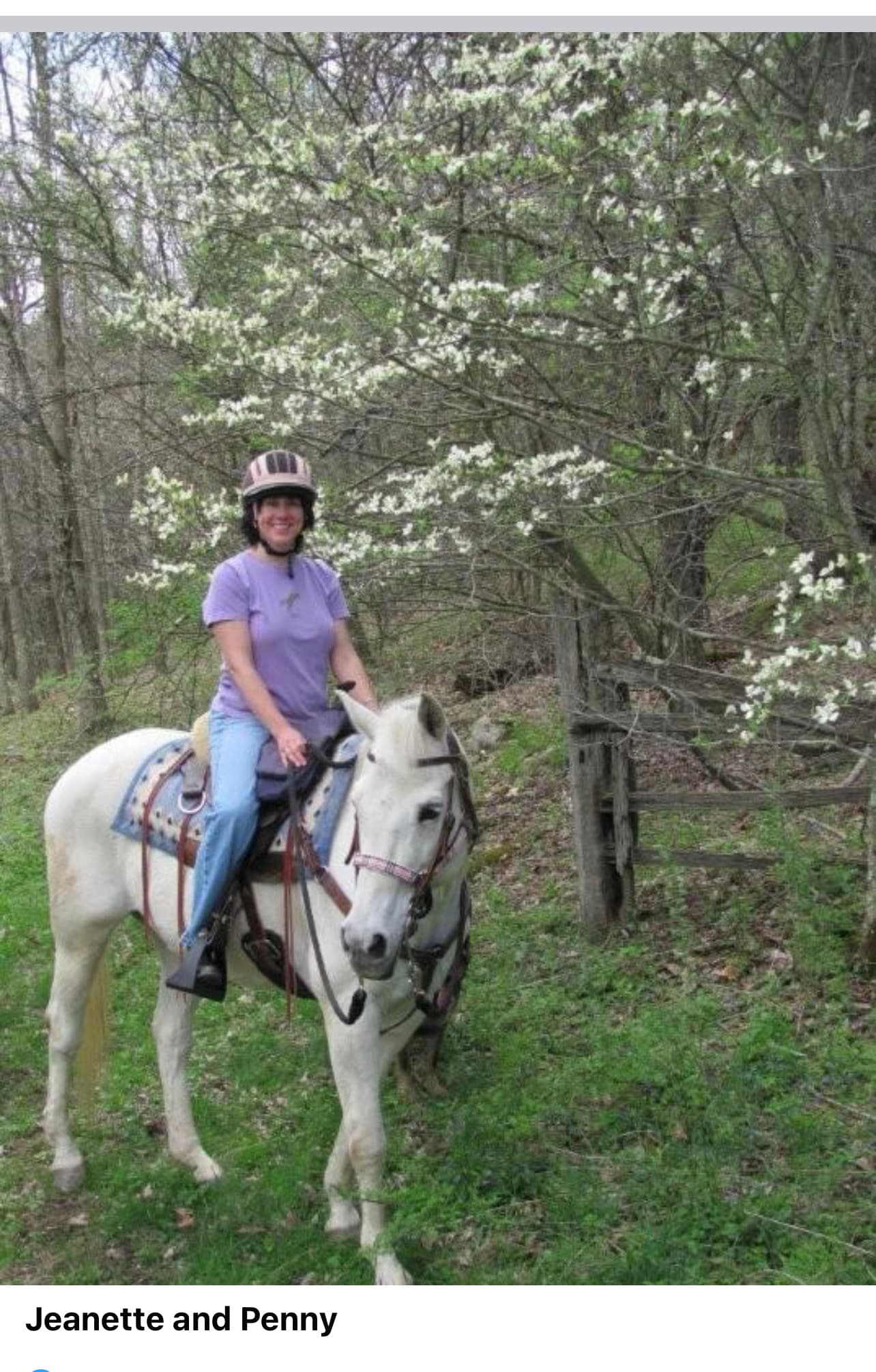 Photo of Seeker Be Silver "Penny"