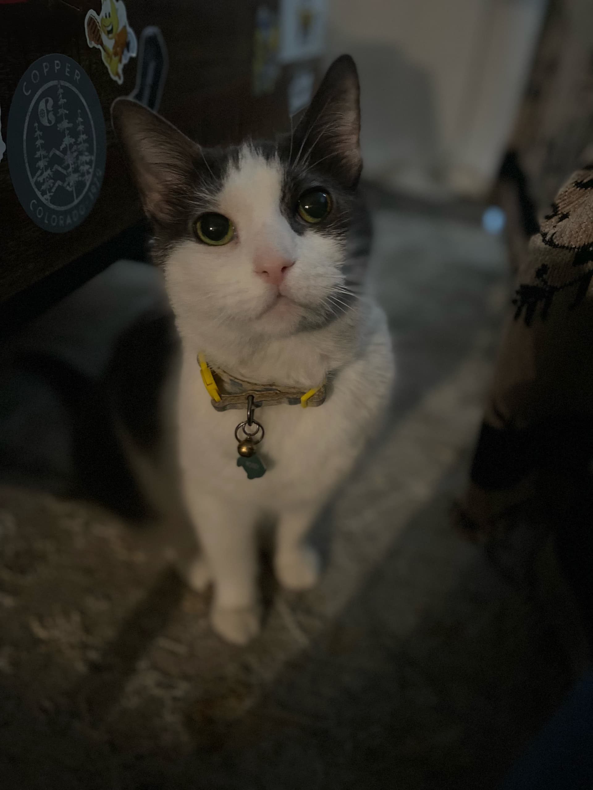 Photo of Rosey