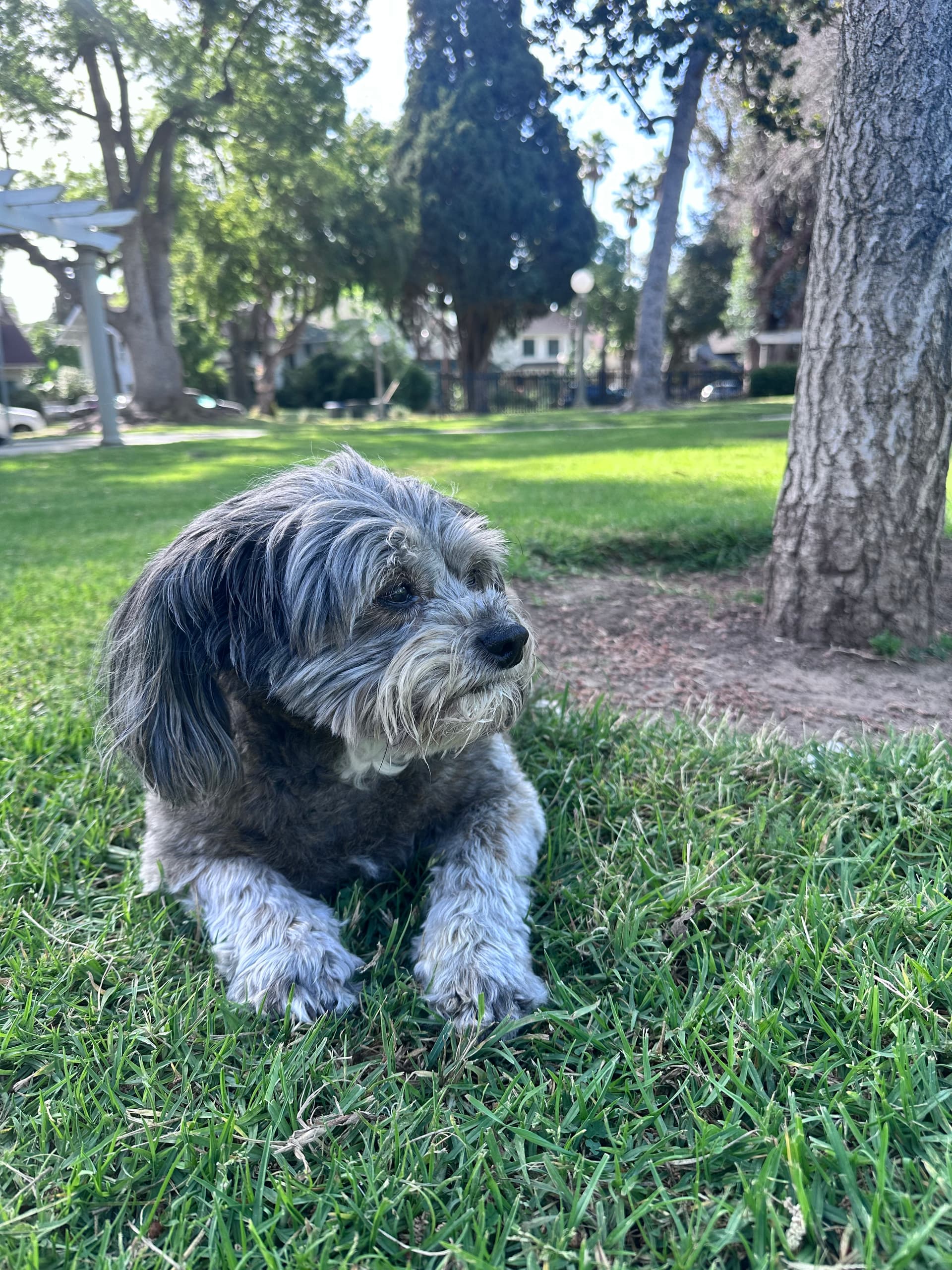 Photo of Rambo