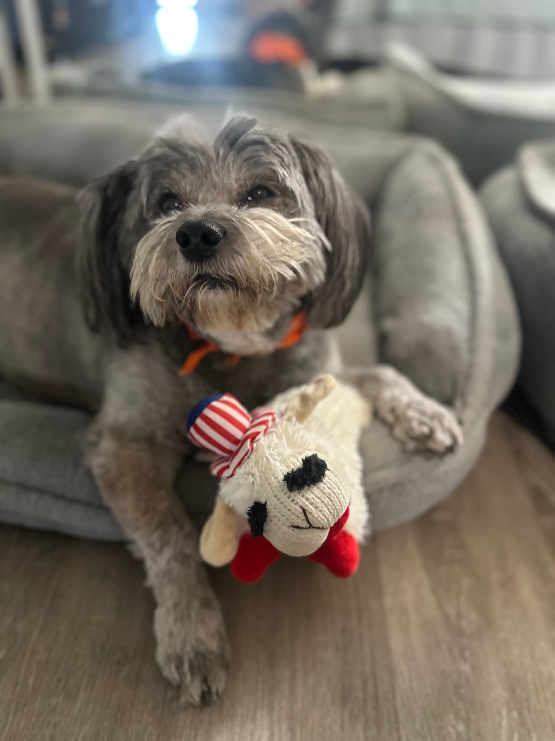 Photo of Rambo