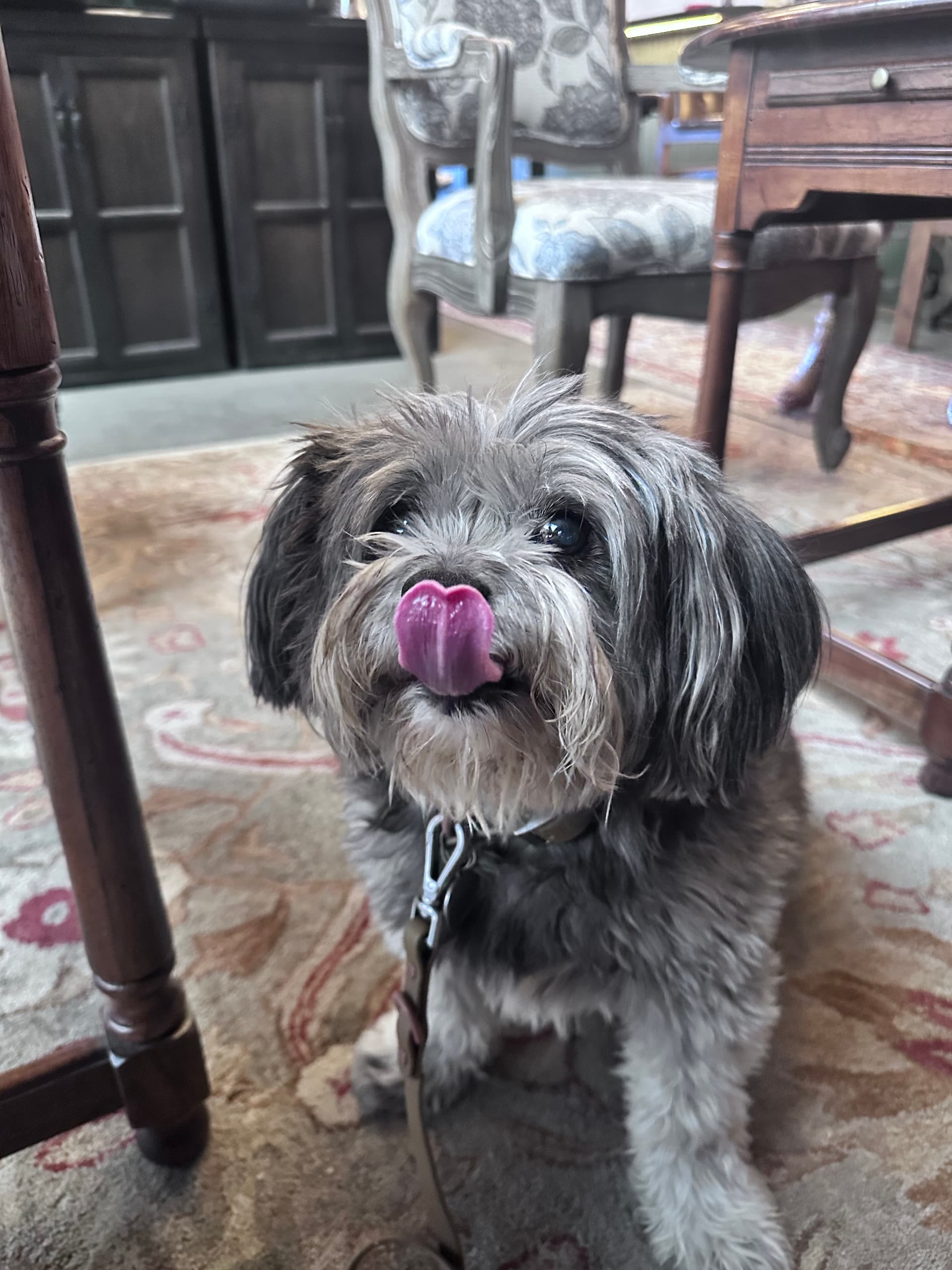 Photo of Rambo