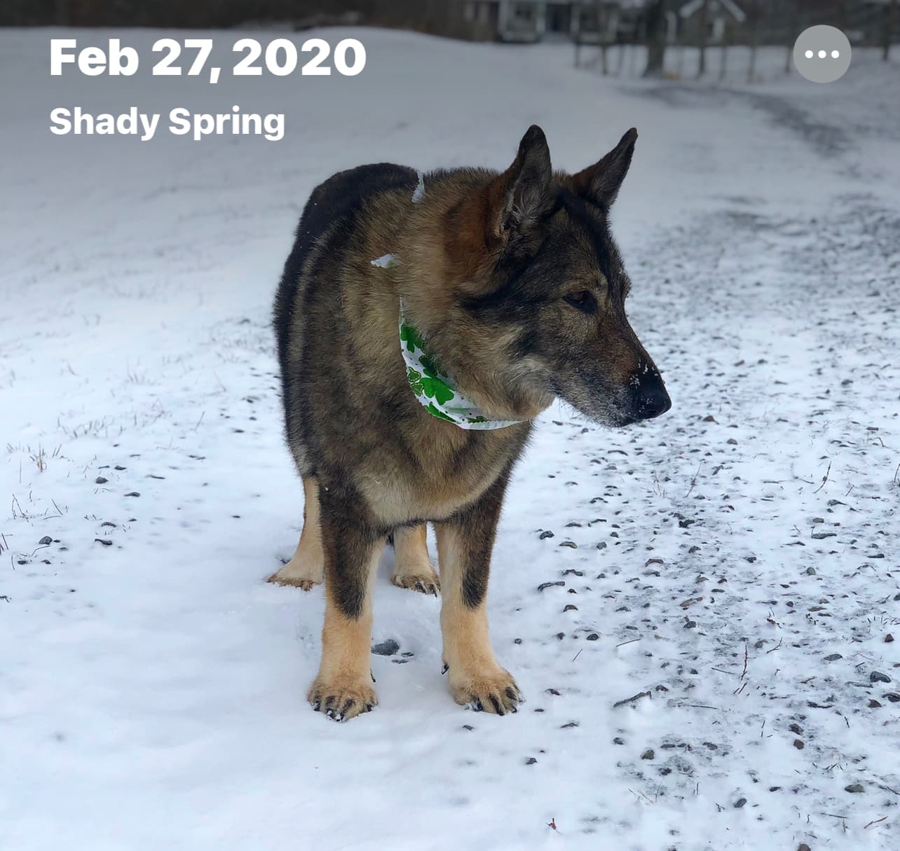 Photo of Ruby